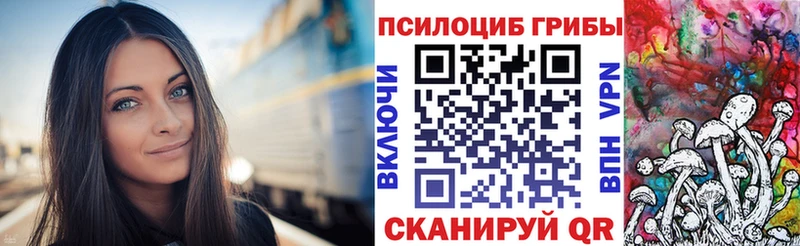 Купить где  Усинск  Псилоцибиновые грибы Psilocybine cubensis 