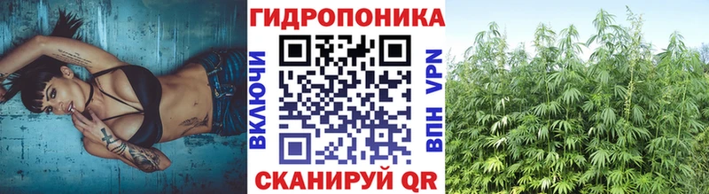 Бошки Шишки White Widow  Купить где  Усинск 